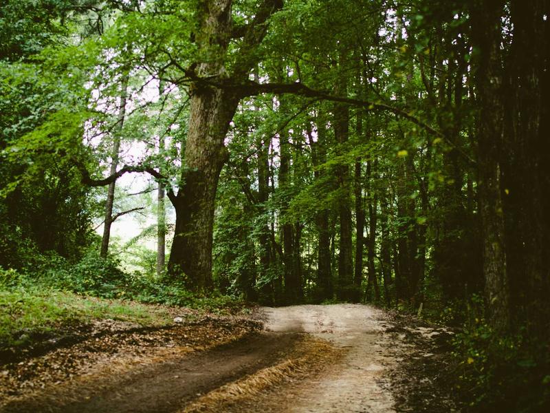 sudoku candidates screenshot 2